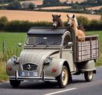 Vervoer-Beroepen-foto- C-264, Verzenden, 1980 tot heden, Foto, Nieuw