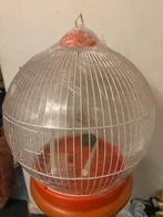 Vintage Mid century Vogelkooi metheor italy  jaren 70’s, Dieren en Toebehoren, Vogels | Hokken en Kooien, Ophalen of Verzenden