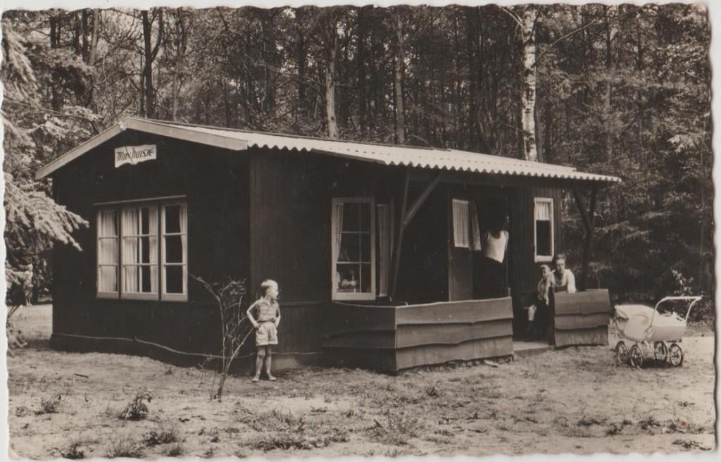 Voorthuizen (Gld) vakantieverblijf De IJsvogel 1950., Verzamelen, Ansichtkaarten | Nederland, Ongelopen, Gelderland, 1940 tot 1960