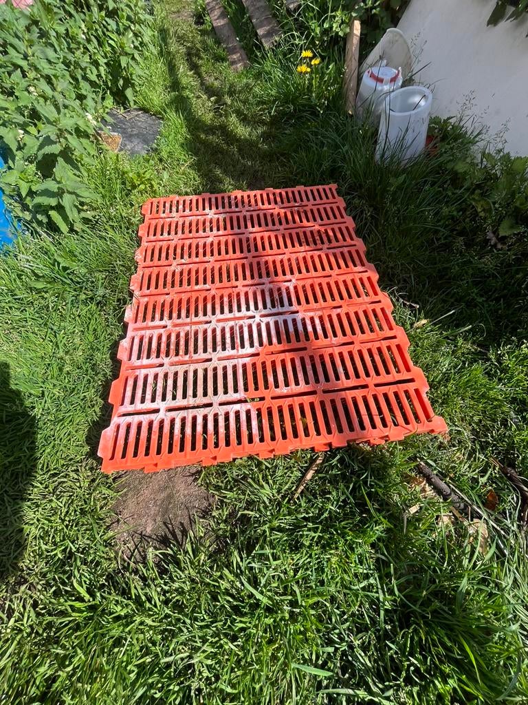 Roosters, Ophalen of Verzenden, Zo goed als nieuw