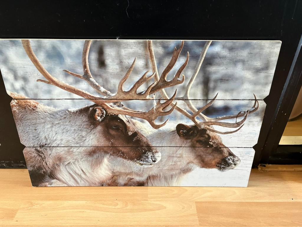 Super gaaf houten schilderij met 2 longhoorns ZGAN, Ophalen of Verzenden, Zo goed als nieuw, Schilderij, Minder dan 50 cm