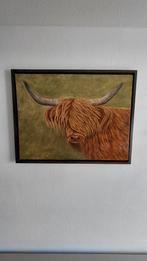 Schilderij Carla Jacobsen van Schotse Hooglander, Ophalen