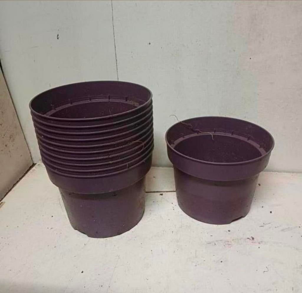OPRUIMINGS ACTIE
Kweekpotten plantenpotten bloempot 5 liter, Tuin en Terras, Kunststof, Gebruikt, Rond, Ophalen of Verzenden