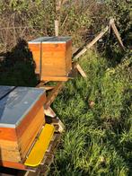 Gezocht: Bijenvolken/ zwermen zeeuws vlaanderen., Dieren en Toebehoren, Insecten en Spinnen, Bijen