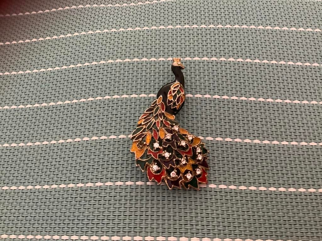 Broche Allsaints, Overige materialen, 4 tot 7 cm, Overige kleuren, Nieuw