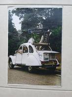 poster lelijk eendje, Minder dan 50 cm, Gebruikt, Ophalen of Verzenden, Foto of Poster