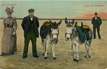 (377-543-033) Aan het Strand beschikbaar voor biedingen