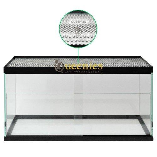 Hamster quarantaine kooi – Mini terrarium, Dieren en Toebehoren, Knaagdieren en Konijnen | Hokken en Kooien, Nieuw, Hok, Minder dan 60 cm