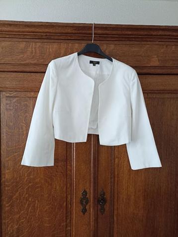 Gelegenheidsjasje beschikbaar voor biedingen