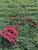 Kattentuigje, Ophalen of Verzenden, Zo goed als nieuw