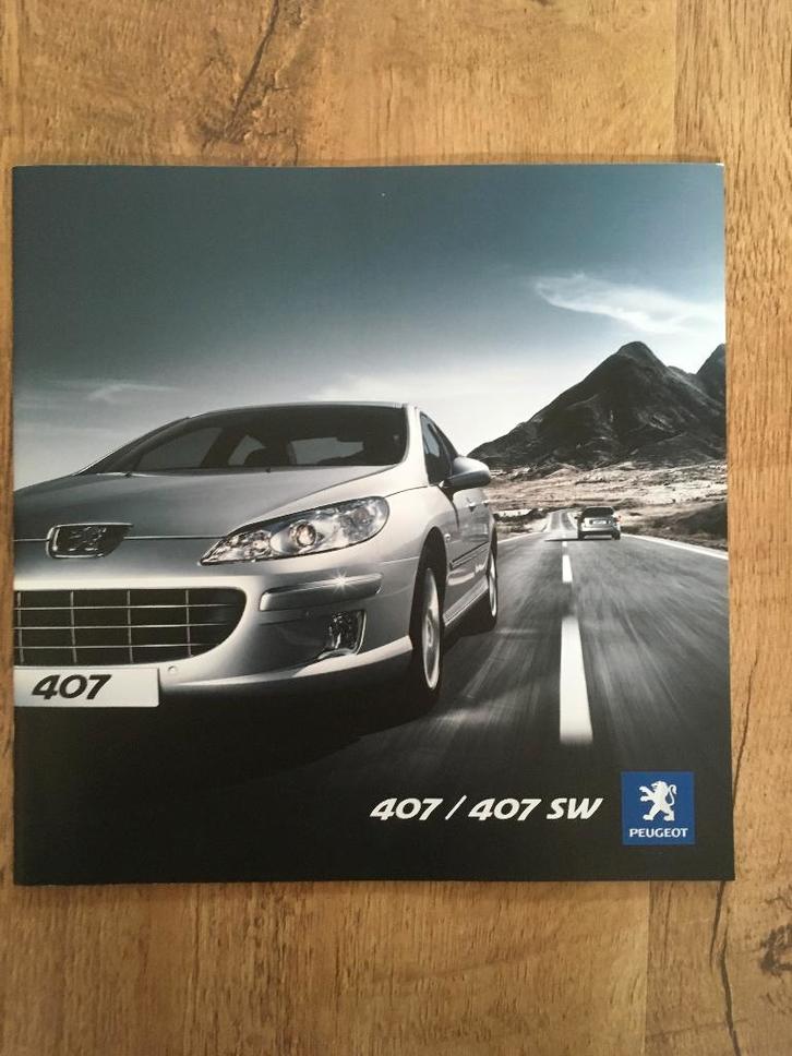 Peugeot 407, Boeken, Auto's | Folders en Tijdschriften, Nieuw, Peugeot, Ophalen of Verzenden