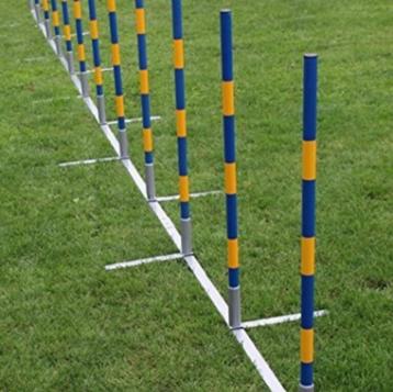 Agility Slalomset 12x Palen Recht Hondensport Behendigheid beschikbaar voor biedingen
