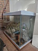 Zo goed als nieuw aquarium met veel extra's! 70L, Ophalen of Verzenden, Zo goed als nieuw, Terrarium of Paludarium