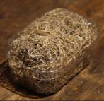 Bakjes Tillandsia €3,50 p.s., Huis en Inrichting, Kamerplanten, Ophalen of Verzenden