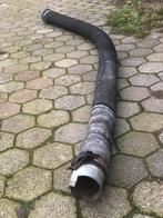 Mestzuigslang, Dieren en Toebehoren, Meerdere dieren, Varken, 3 tot 5 jaar