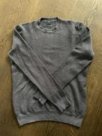 Fedeli trui grijs maat 46 / S, Maat 46 (S) of kleiner, Grijs, Ophalen of Verzenden, Zo goed als nieuw