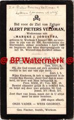 Veldman Alert 1821 Workum 1906 x Jongstra - 22741, Bidprentje, Ophalen of Verzenden