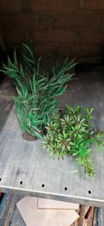 Plastic planten, Dieren en Toebehoren, Vissen | Aquaria en Toebehoren, Ophalen of Verzenden, Plant(en), Steen of Hout