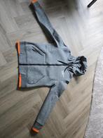Superdry jas/vest, zgan, Ophalen of Verzenden, Zo goed als nieuw, Grijs, Maat 46 (S) of kleiner