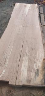 Beukenblad met slaap - Uniek stuk hout!, Nieuw, Ophalen of Verzenden, 250 tot 300 cm, Plank