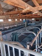 Koeienstal  inrichting, Dieren en Toebehoren, Stalling en Weidegang