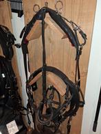 X Shetlander welsh ponytuig tuig kunststof tuigage tuigen, Ophalen of Verzenden, Nieuw, Overige soorten
