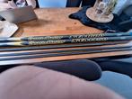 16 meter beastmaster. BIEDEN, Watersport en Boten, Ophalen, Gebruikt, Vaste hengel