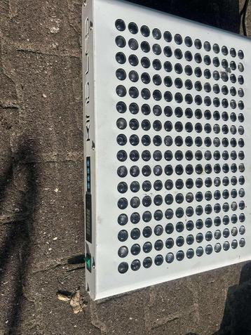 Kind LED K5 XL 750 Watt kweeklamp beschikbaar voor biedingen