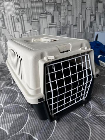 Kattenreismand beschikbaar voor biedingen