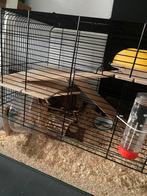 Hamster terrarium, Dieren en Toebehoren, Knaagdieren en Konijnen | Hokken en Kooien, Minder dan 60 cm, Kooi, Ophalen of Verzenden