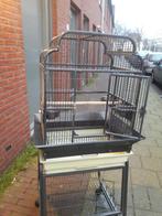 ara vogels kooi, Ophalen, Zo goed als nieuw, Metaal, Vogelkooi