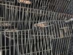 Zware metalen voorfronten 60x30, Dieren en Toebehoren, Meerdere dieren, Parkiet
