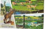 Valkenburg, Ophalen of Verzenden, 1960 tot 1980, Gelopen, Limburg