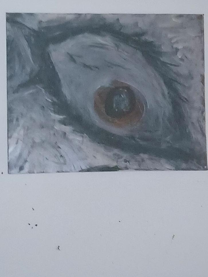 Oog van een Wolf - Origineel Schilderij, Antiek en Kunst, Kunst | Overige Kunst, Ophalen of Verzenden
