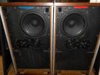 B&W DM2 jaren 70 vintage luidsprekers, Audio, Tv en Foto, Luidsprekers, Ophalen, Gebruikt, Bowers & Wilkins (B&W), Minder dan 60 watt