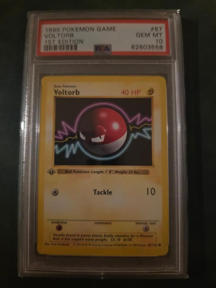 Voltorb 1st Edition Shadowless PSA 10, Hobby en Vrije tijd, Verzamelkaartspellen | Pokémon, Nieuw, Ophalen of Verzenden