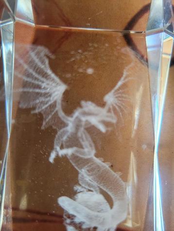 Hologram draak. beschikbaar voor biedingen