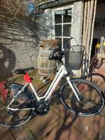 Koga F3 Serie 5.0   Z.G.A.N.  maat 50, Ophalen of Verzenden, Zo goed als nieuw, Koga Miyata, 50 tot 53 cm