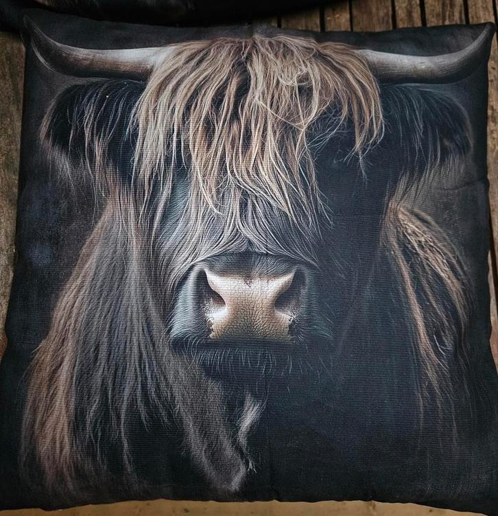 Woonkussen hooglander, Huis en Inrichting, Woonaccessoires | Kussens, Nieuw, Vierkant, Ophalen of Verzenden