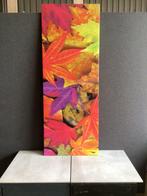 Canvas blad 160x60, Ophalen of Verzenden