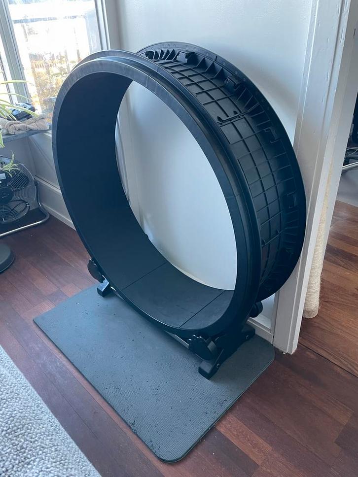 Looprad/loopwiel voor katten, 100 cm doorsnede, Dieren en Toebehoren, Kattenspeelgoed, Zo goed als nieuw, Overig speelgoed, Ophalen