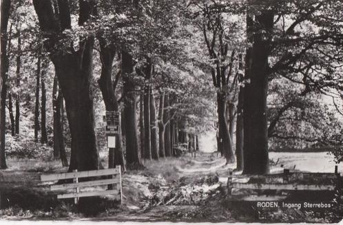 roden dr. ingang  sterrebos, Verzamelen, Ansichtkaarten | Nederland, 1960 tot 1980, Ophalen of Verzenden