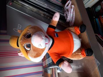 Albert Heijn hamster voetbal oranje damesvoetbal meisje beschikbaar voor biedingen