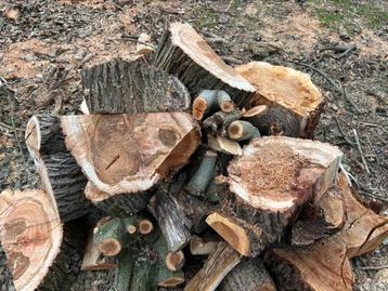 Brandhout - Kachelhout - Haardhout - Reeds gezaagd ca 1,3 m3 beschikbaar voor biedingen