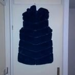 Mooie Navy blauwe Bodywarmer Nieuw!, Kleding | Dames, Ophalen of Verzenden, Nieuw, Maat 38/40 (M), Blauw