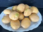 Nep, Dummy, Decoratie Aardappelen, Ophalen of Verzenden, Nieuw, Versiering, Overige