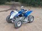 goed lopende 300cc quad, Motoren