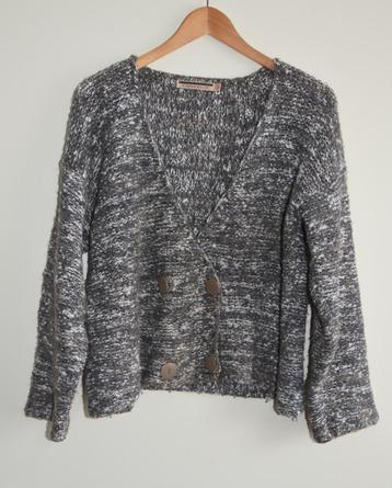 Vest Emanuelle grijs taupe wit gemeleerd mt 42 - 44 beschikbaar voor biedingen