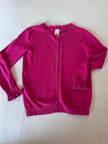 Roze Vest Palomino Maat 134 beschikbaar voor biedingen