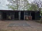 Stalling met weidegang voor pony en shetlander
